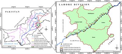 Impact of heavy metals on aquatic life and human health: a case study of River Ravi Pakistan